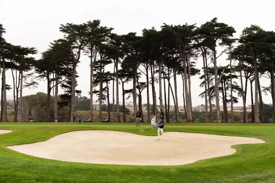 Golfers in a sandtrap at TPC Harding Park golf course 在贝博体彩app, 加州.